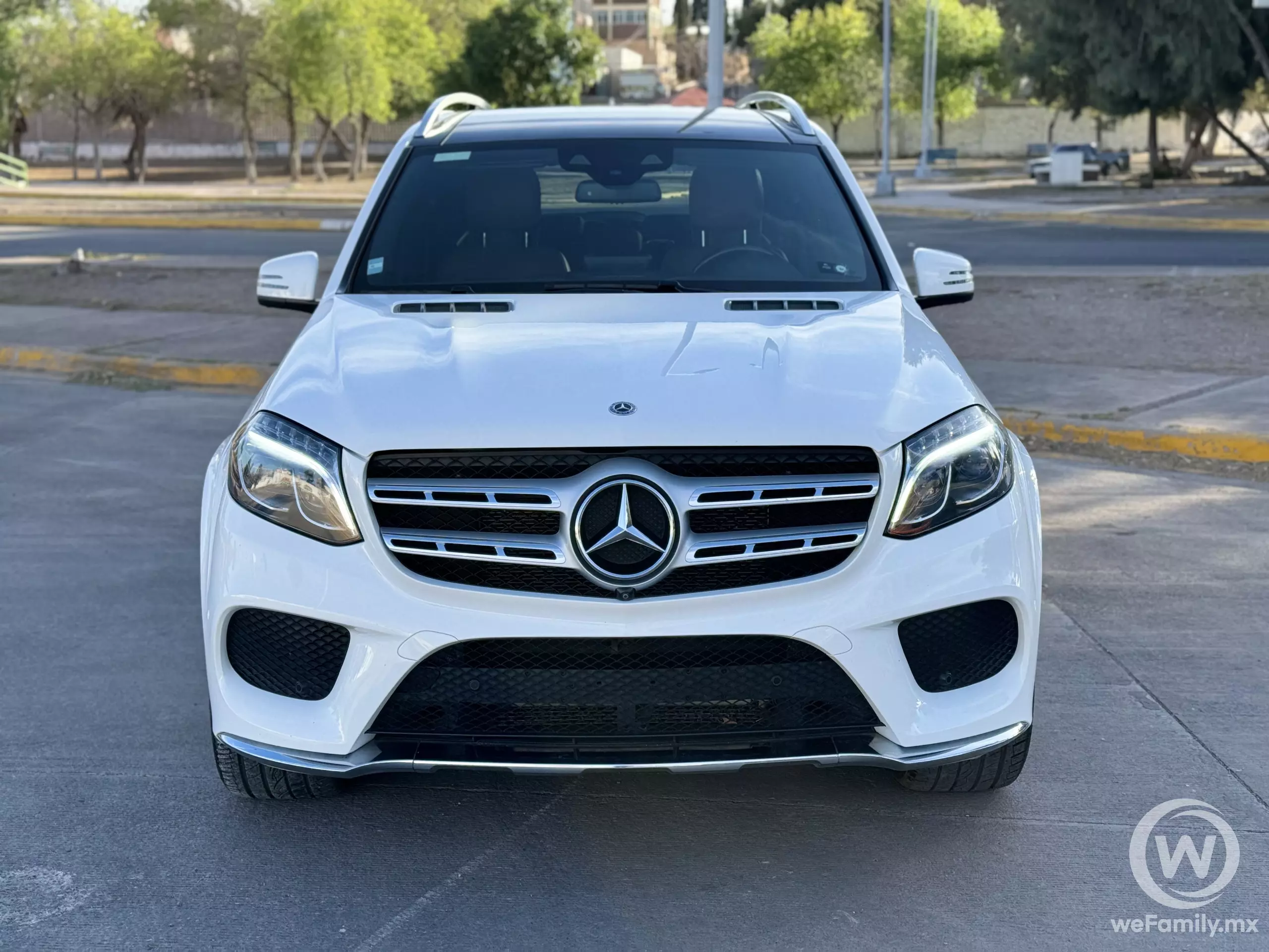 Mercedes Benz Clase GLS VUD