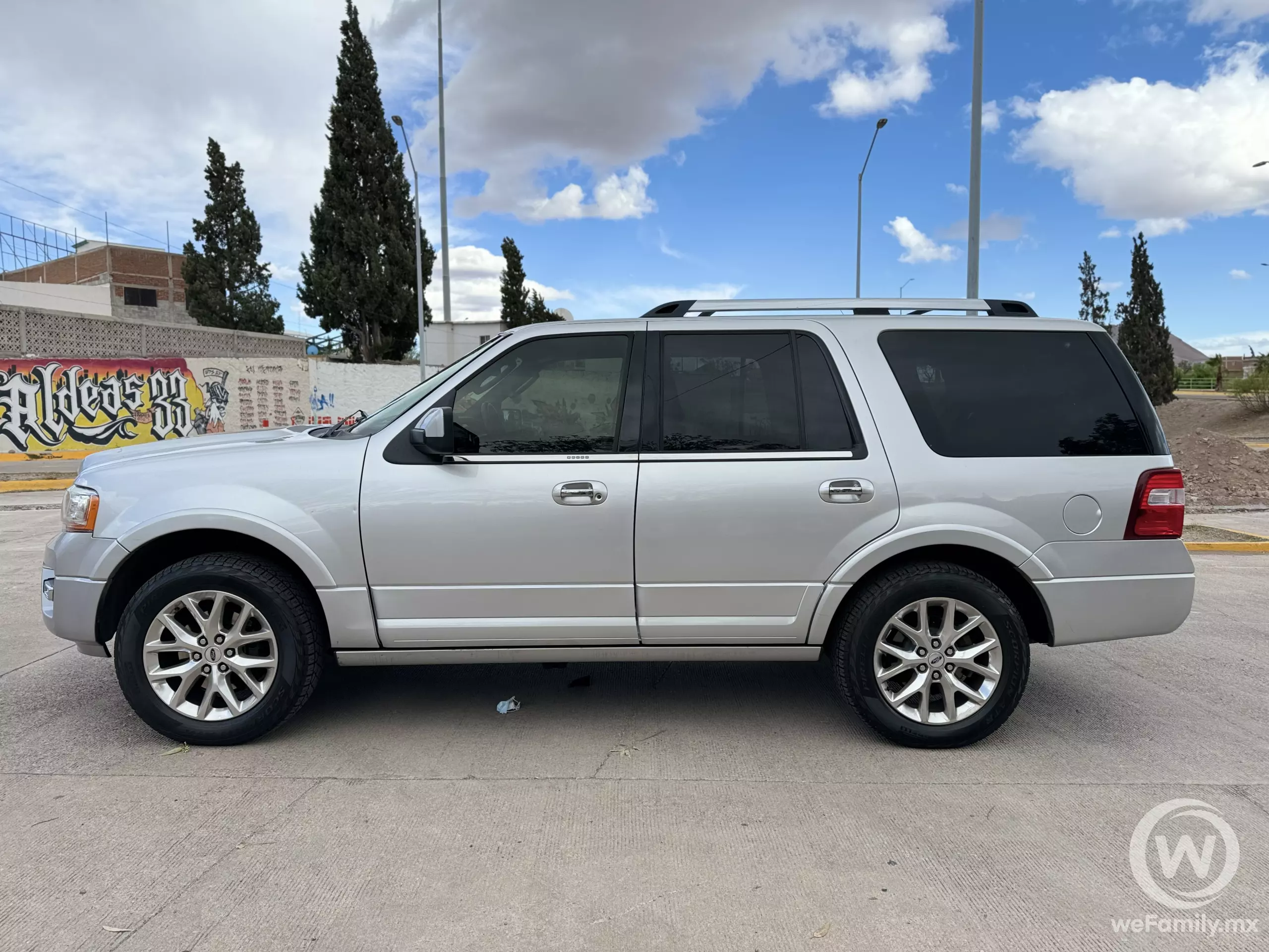 Ford Expedition VUD