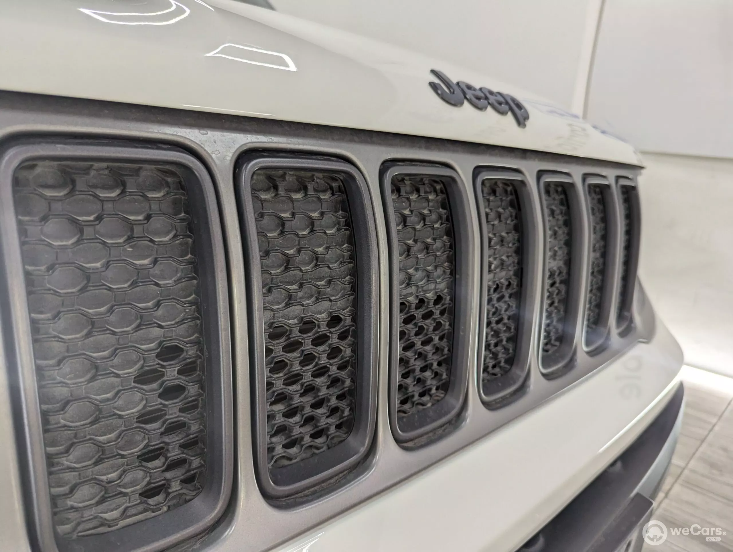 Jeep Renegade VUD