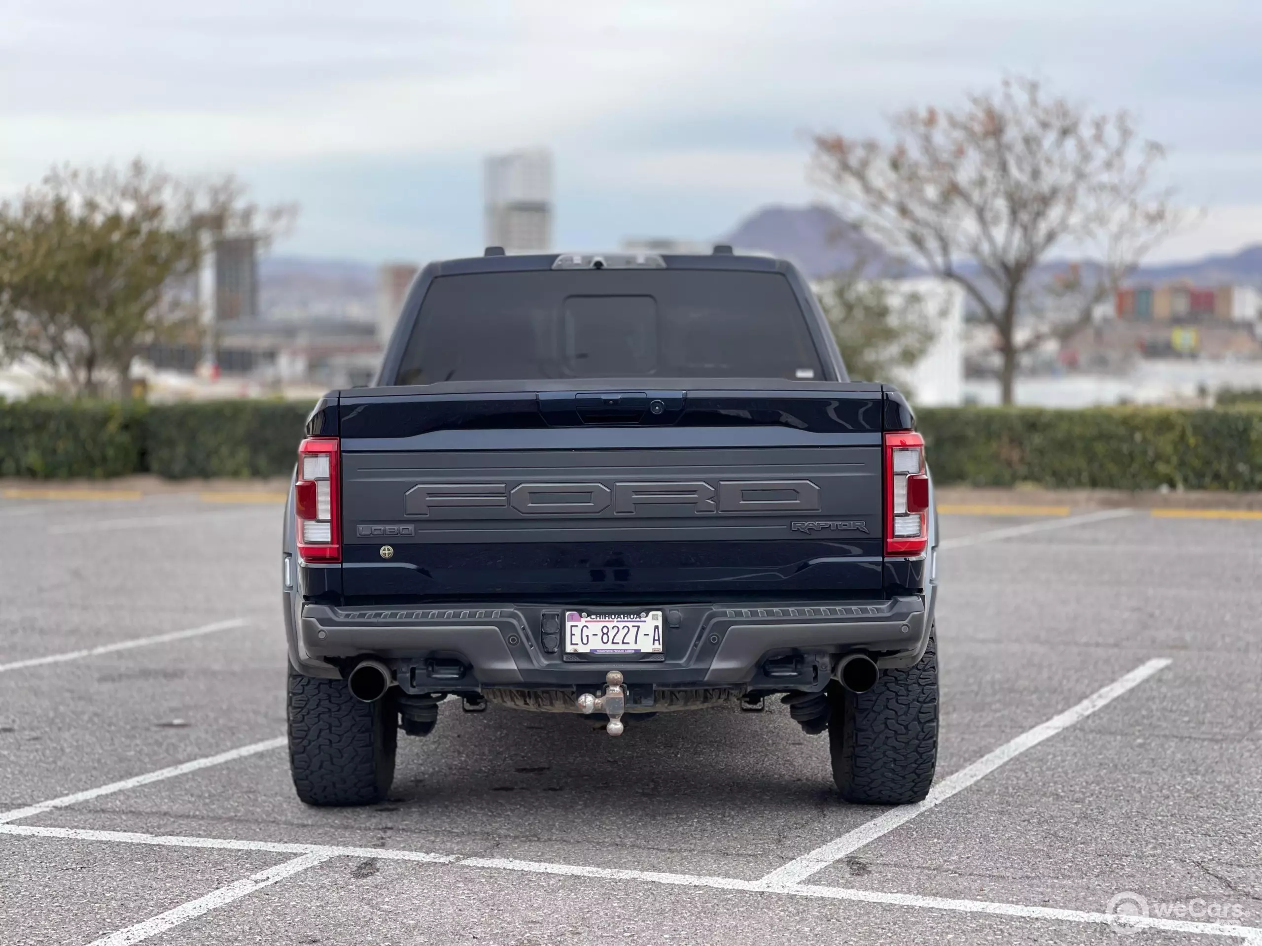 Ford Lobo Pick-Up