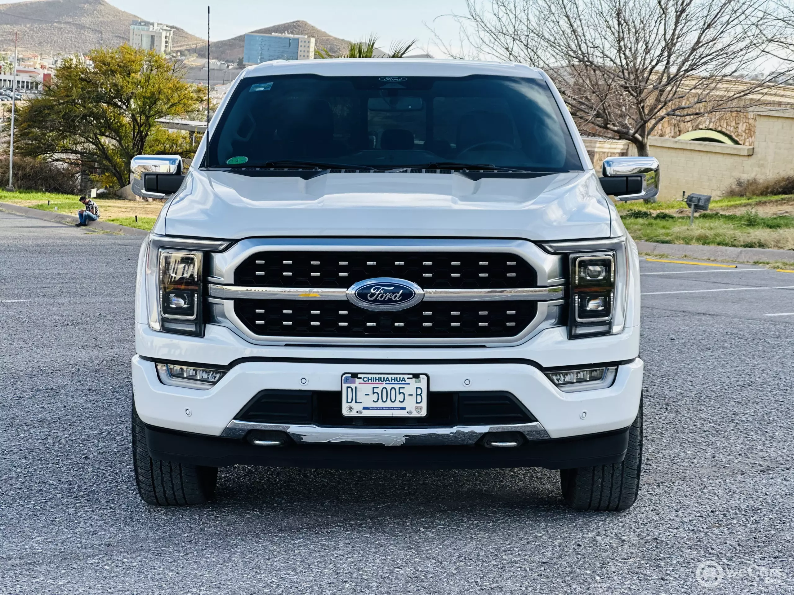 Ford Lobo Pick-Up