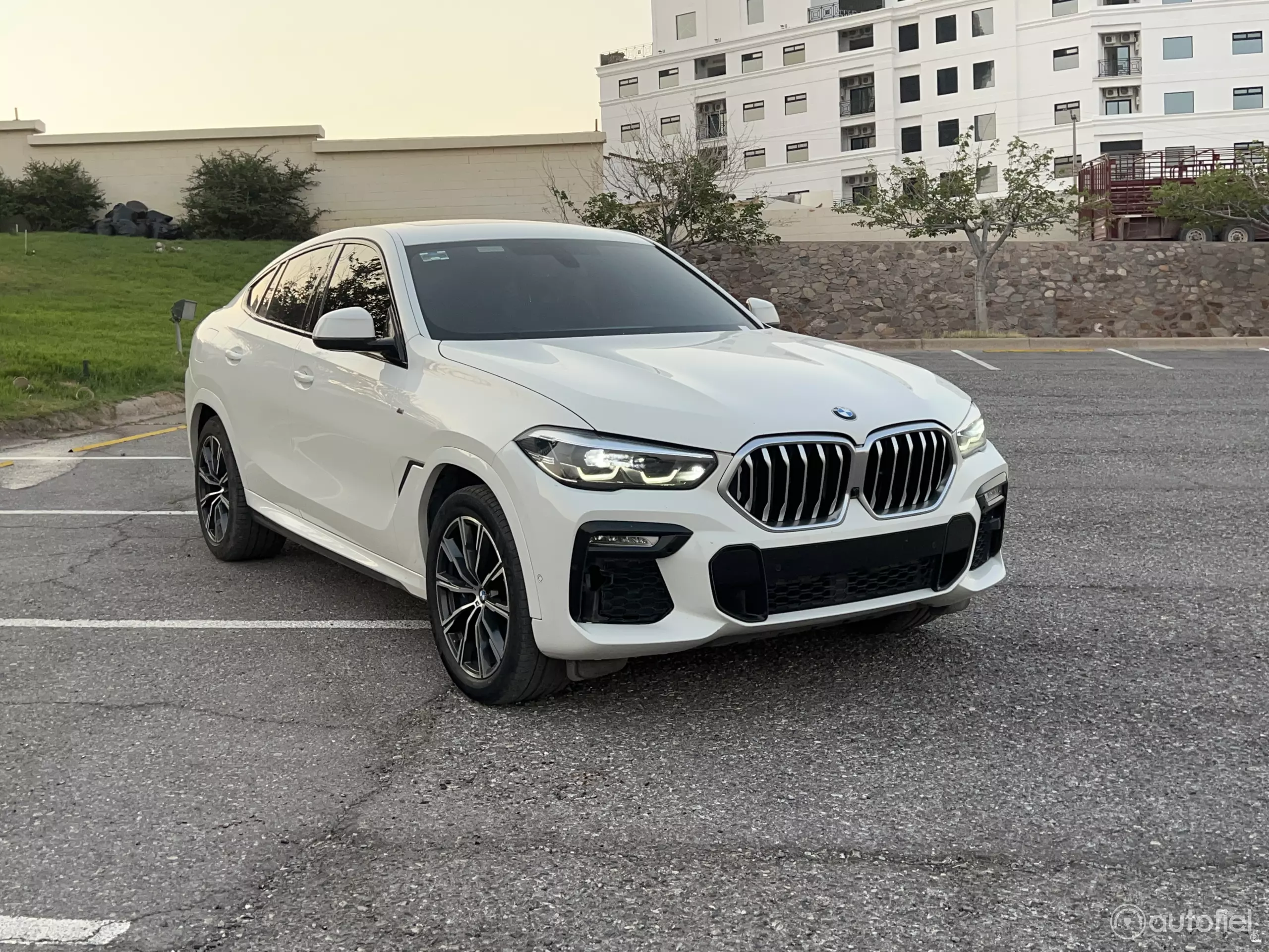 BMW X6 VUD 2020