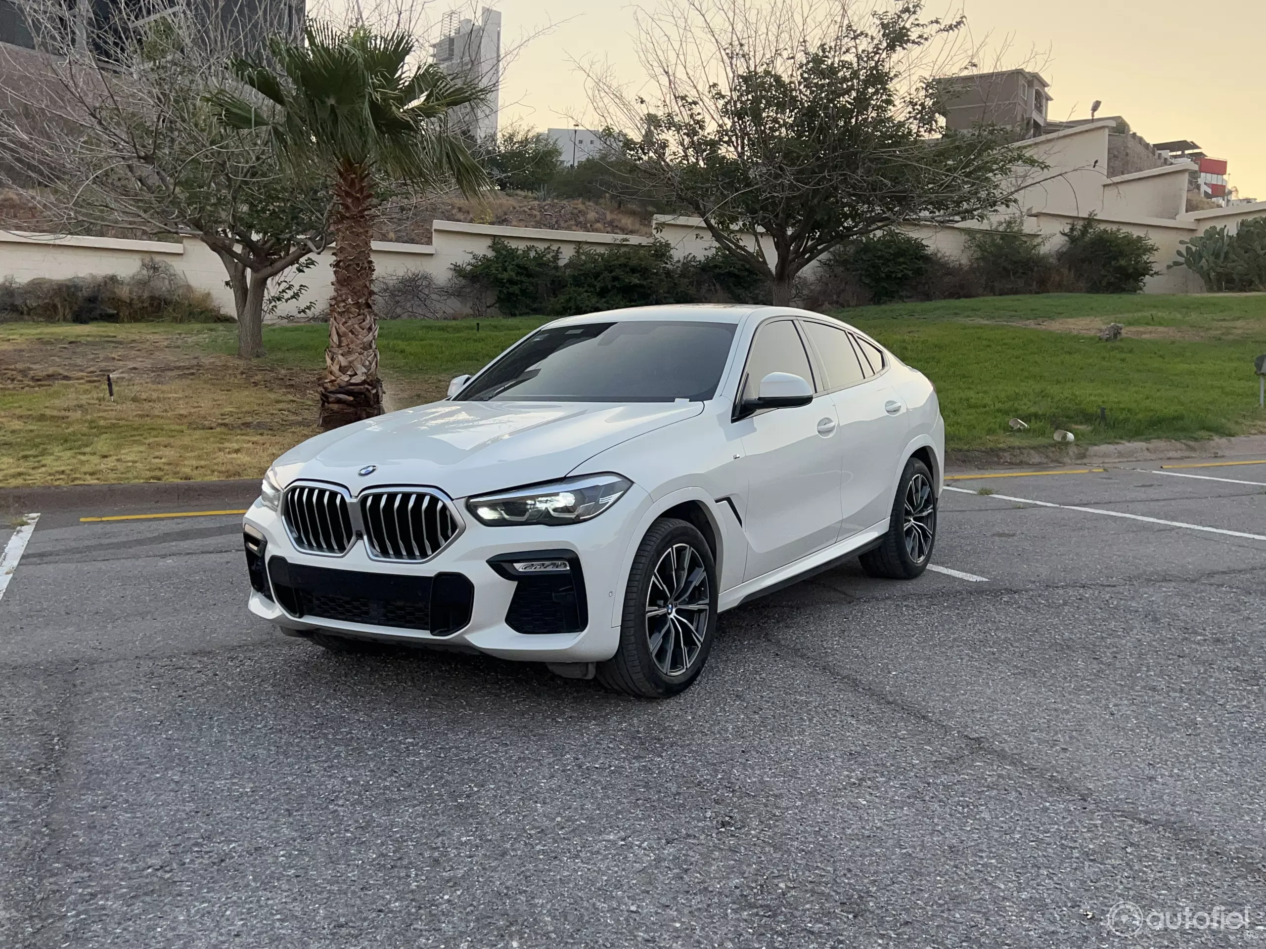 BMW X6 VUD